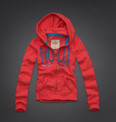 Sweat & Hoody Hollister Femme Pas Cher